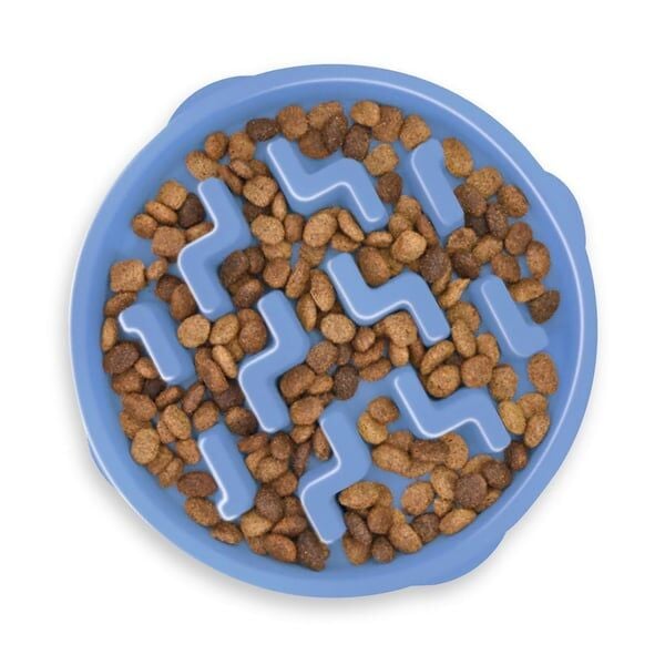 Feeder Notch Blue Large Köpek Yavaş Yeme Mama Kabı