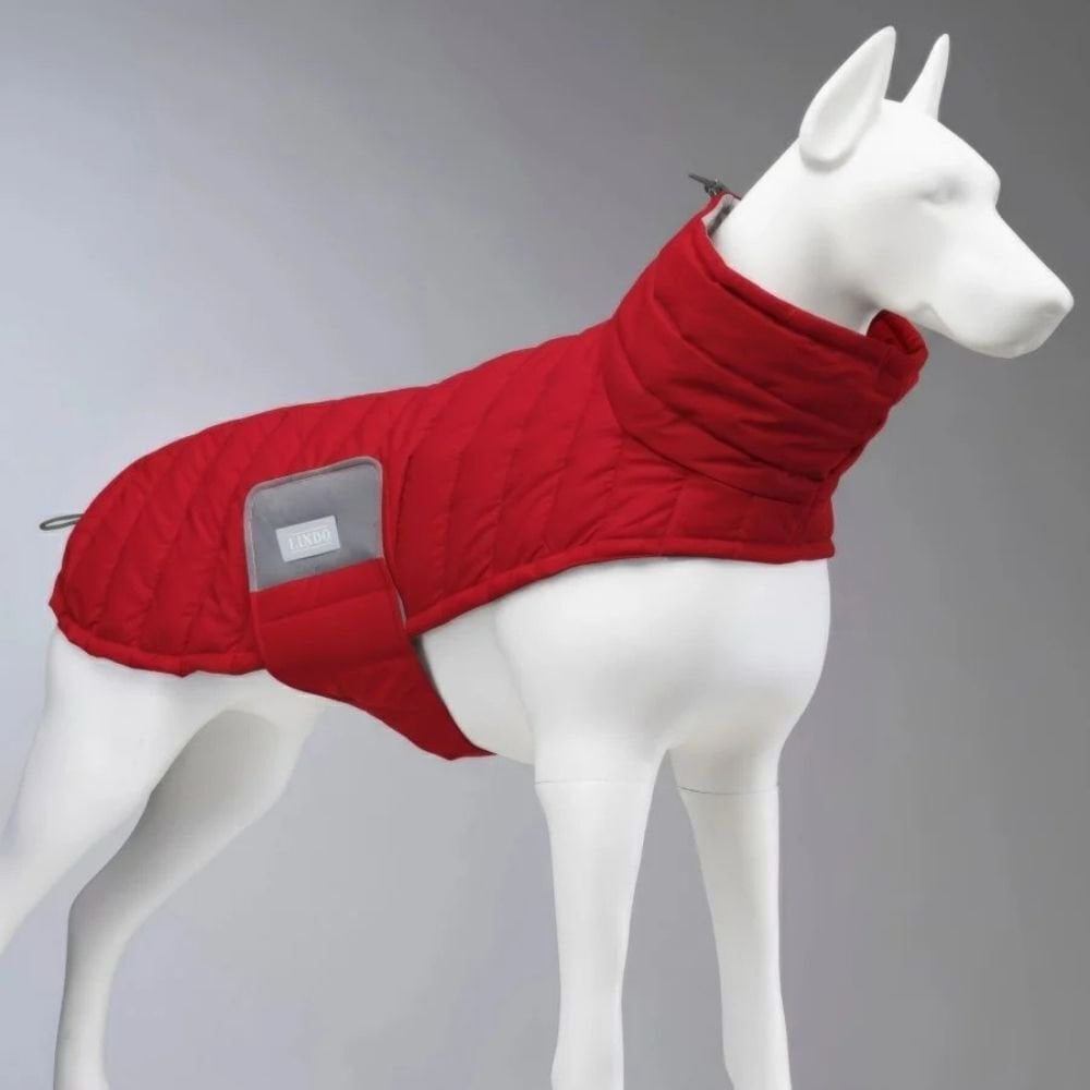 Air Puff Ruby Core Köpek Montu Beden 6