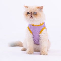 Plum Lazy T-Shirt