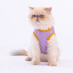 Pawstar Plum Lazy Köpek Tişörtü