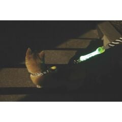M-PETS FLASH LED BAND GREEN