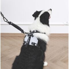 M-PETS PULL POWER ŞOK EMİCİ ARA TASMA BLACK