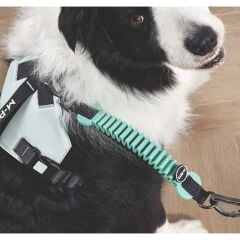 M-PETS PULL POWER ŞOK EMİCİ ARA TASMA GREEN