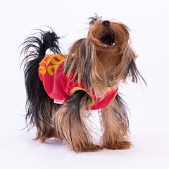 Pawstar Pineapple Mesh Köpek Tişörtü