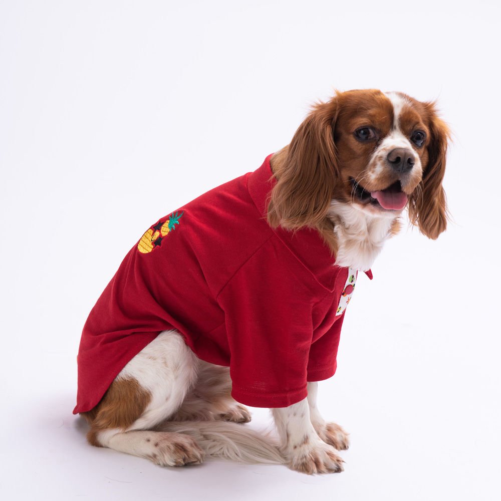 Pawstar Pineapple Polo Yaka Köpek Tişörtü