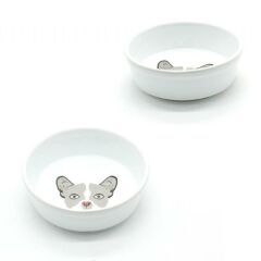 Ally Paws Desenli Seramik Mama Kabı 400 ml (Tekli)