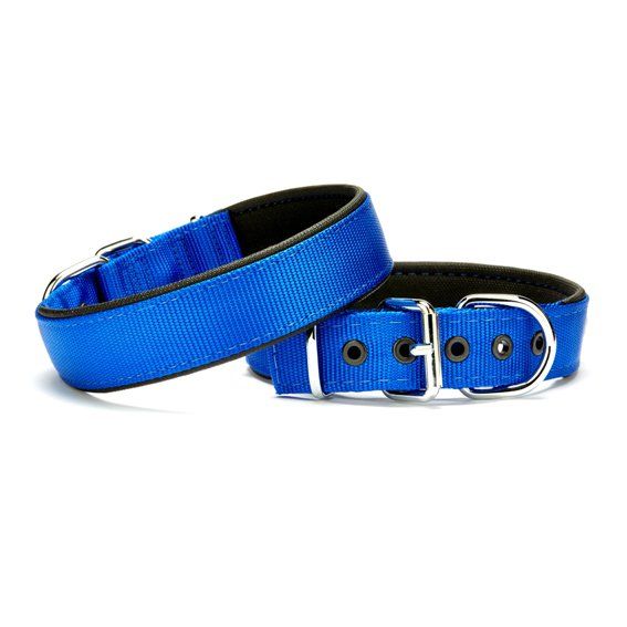 Doggie Konfor Dokuma Köpek İçin Boyun Tasması Royalmavi 1,5X20-25Cm