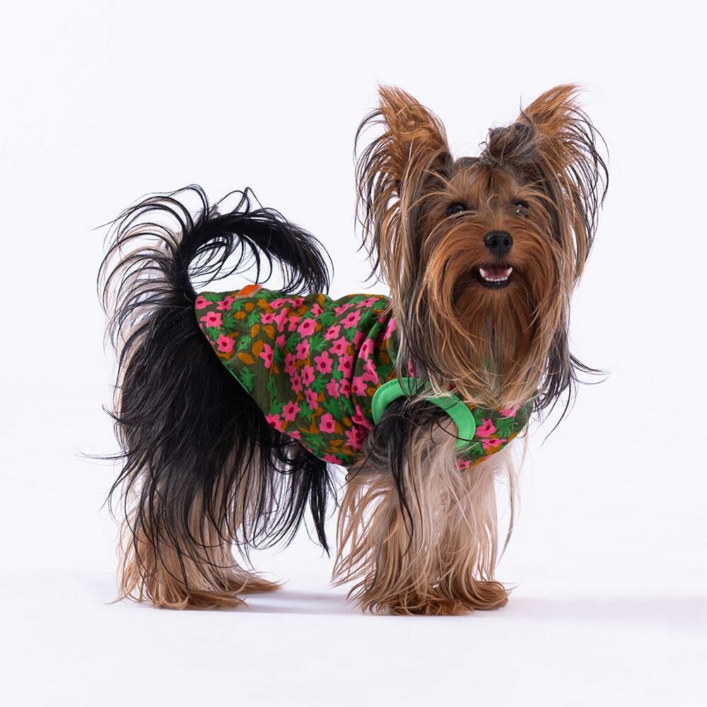 Pawstar Flower Köpek T-Shir