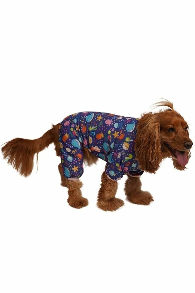 Pawstar Ocean Rompers Okyanus Kedi Köpek Penye Pijama Tulum (S)