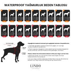 LindoDogs Crunch İçi Fileli Su Geçirmez Köpek Yağmurluğu
