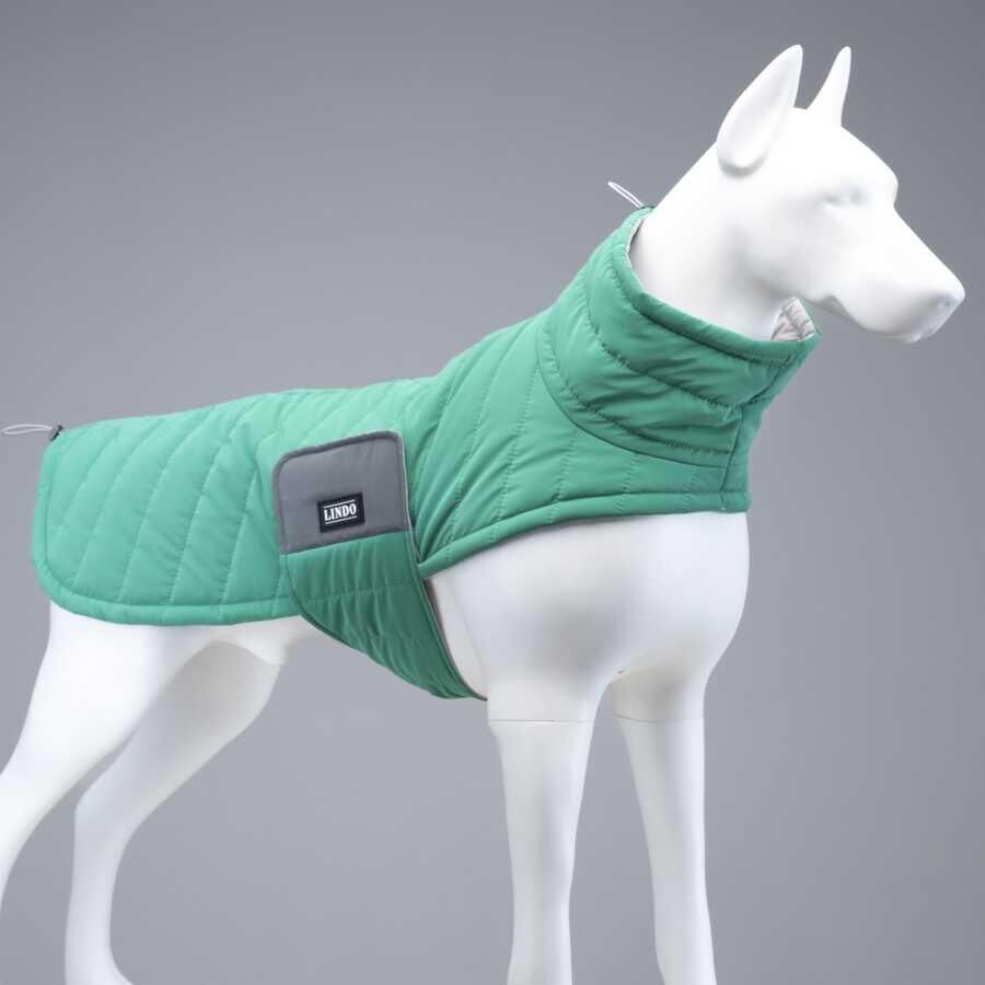 LindoDogs Airpuff Green Apple Köpek Montu