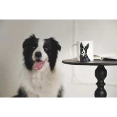 M-PETS PETJOY LUNA KUPA 350ML BLACK&WHİTE