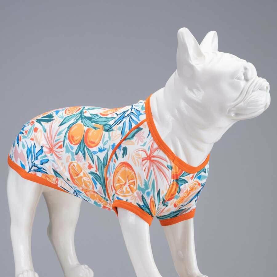 Lindo Orange Blossom Köpek Tshirt Beden: 5