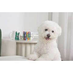 M-PETS PETJOY LUNA KUPA 350ML GREEN