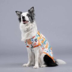 Lindo Orange Blossom Köpek Tshirt Beden: 6