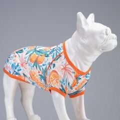 Lindo Orange Blossom Köpek Tshirt Beden: 8