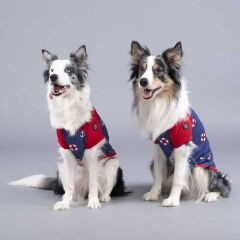 Lindodogs Little Sailer Küçük ve Orta Irk Köpek Tshirt Beden: 1