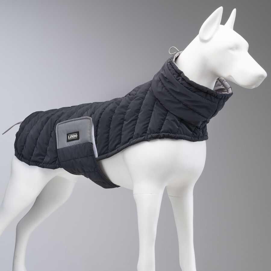 LindoDogs Airpuff Deep Köpek Montu