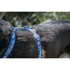 Reddingo Kamuflaj Desenli Göğüs Tasması