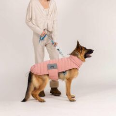 LindoDogs Airpuff Powder Köpek Montu