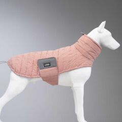 LindoDogs Airpuff Powder Köpek Montu