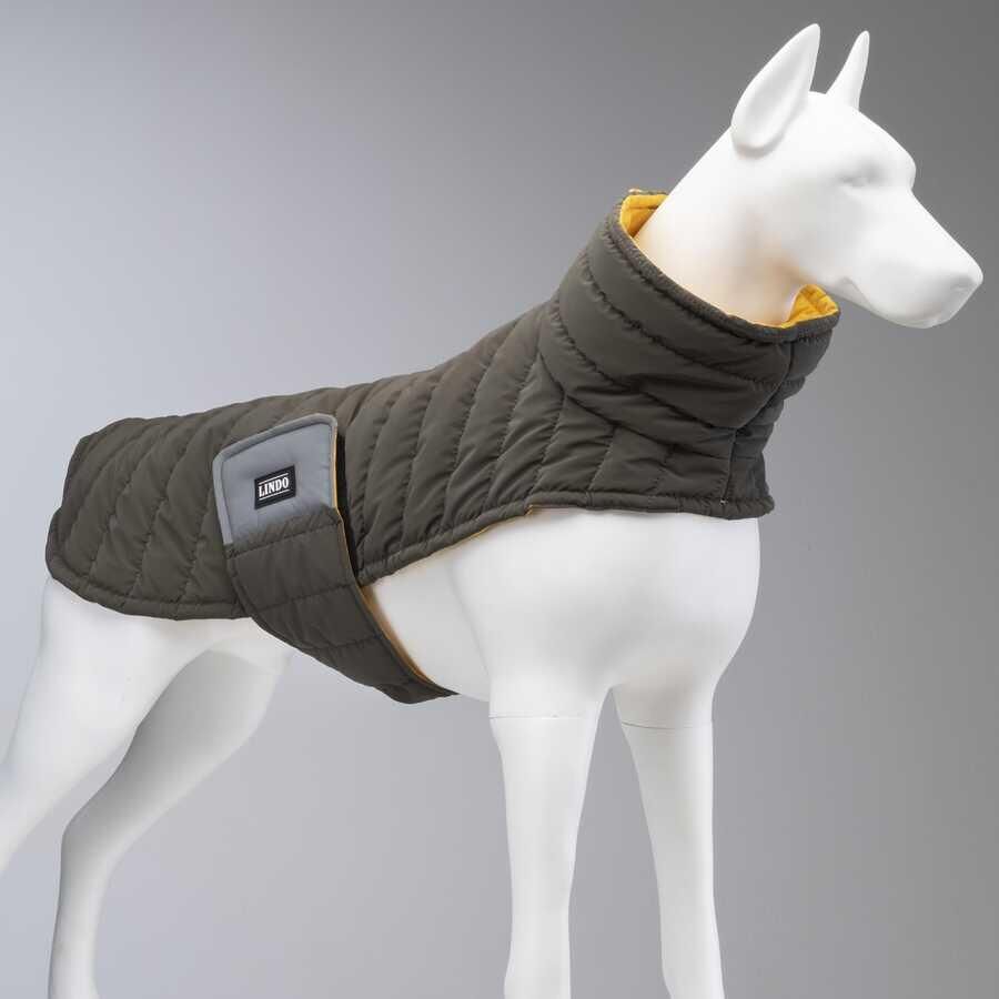LindoDogs Airpuff Mango Köpek Montu