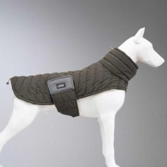 LindoDogs Airpuff Mango Köpek Montu