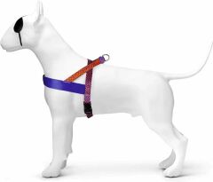 Morso Urban Lizard Norveç Tipi Köpek Göğüs Tasması – Medium (M)
