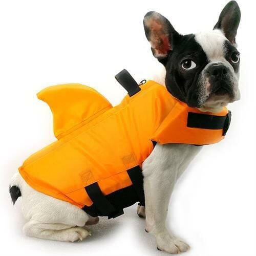Shark Köpek Yüzme Ceketi, Can Yeleği