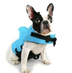 Shark Köpek Yüzme Ceketi, Can Yeleği