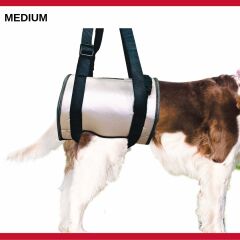 Mikki Engelli Köpekler İçin Yardımcı ve Destekleyici Tasma