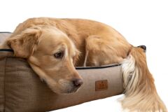 Peggy Lola Hasır Lacivert Kedi ve Köpekler için Yatak – Fermuarlı Bölmeler, Kaydırmaz Taban