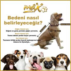 MAX DESİNG PAW ROCK TSHİRT KIRMIZI XLARGE