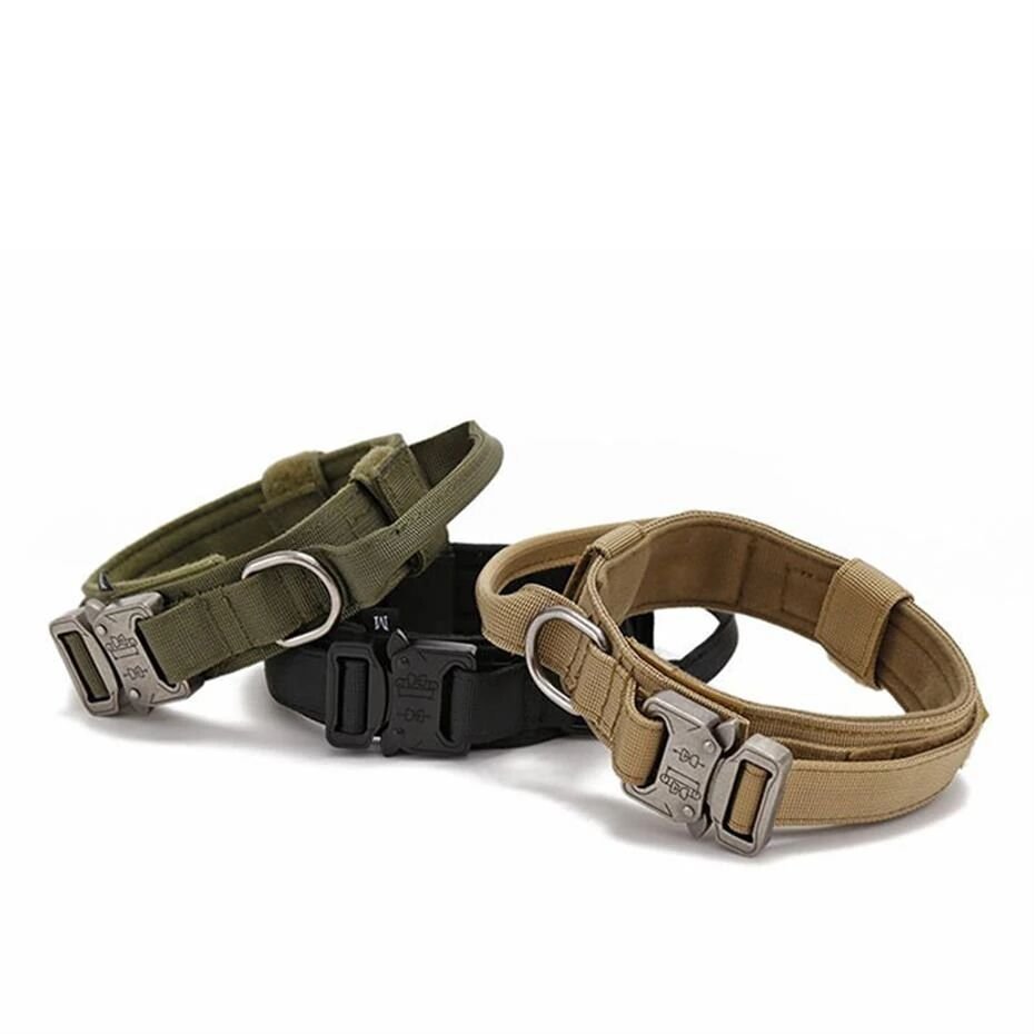 Lion Pet Metal Klipsli Köpek Boyun Tasması – Large (L)