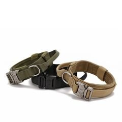 Lion Pet Metal Klipsli Köpek Boyun Tasması – Large (L)