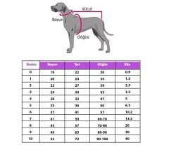 Lolika Halloween Köpek Tişörtü – Eğlenceli, Rahat ve Mevsimlik (No:2)