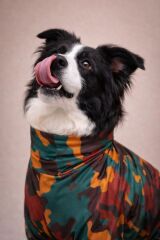 ALPHADOG PARADE BÜYÜK IRK YAĞMURLUK NO:6