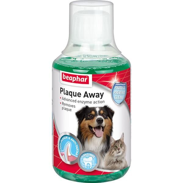 Ağız Gargarası 250 ML