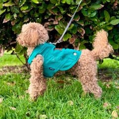 salya store Köpek Kot Yelek Fuşya - Küçük Irk