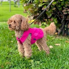 salya store Köpek Kot Yelek Fuşya - Küçük Irk