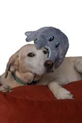 Peggy Luna Turuncu Kedi ve Köpekler için Yatak – Kaydırmaz Taban, Elyaf Dolgulu