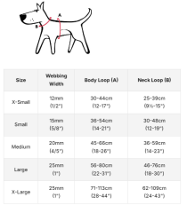 Reddingo Fang It Desenli Göğüs Tasması FUŞYA - XS