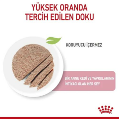 Mother&Babycat South Anne ve Yavru Kediler için yaş Mama 195 gr