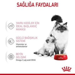 Mother&Babycat South Anne ve Yavru Kediler için yaş Mama 195 gr