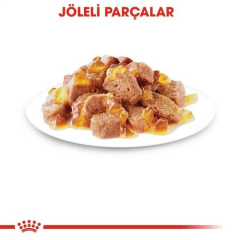 Sterilised Jelly Jöleli Kısırlaştırılmış Yaş Kedi Maması 85 gr