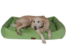 Peggy Luna Fıstık Yeşili Kedi ve Köpekler için Yatak – Kaydırmaz Taban, Elyaf Dolgulu