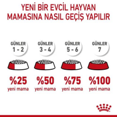 Mother & Babycat Anne ve Yavru Kediler için Kuru Kedi Maması 2 Kg