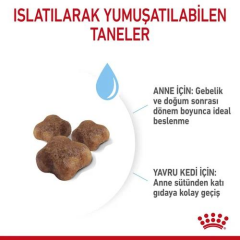 Mother & Babycat Anne ve Yavru Kediler için Kuru Kedi Maması 2 Kg
