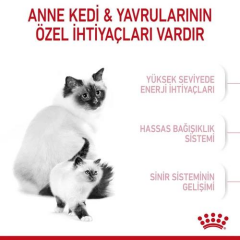 Mother & Babycat Anne ve Yavru Kediler için Kuru Kedi Maması 2 Kg