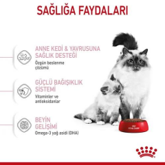 Mother & Babycat Anne ve Yavru Kediler için Kuru Kedi Maması 2 Kg